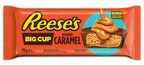 Reese's Perfects Perfection with Reese's Big Cup with Caramel