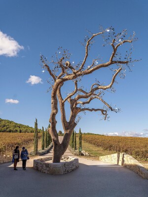 Transformative Artistry by Vietnamese Artist Tia-Thuy Nguyen: 'Flower of Life' Blooms at Château La Coste