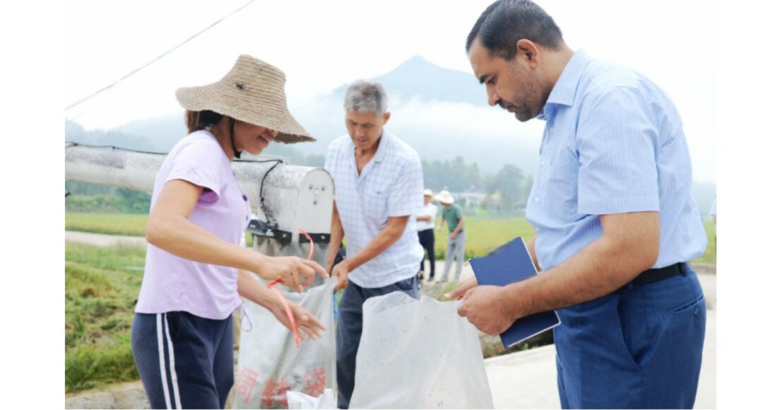 China-Pakistan efforts to develop hybrid rice make progress