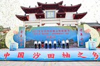 „Heimat der Shatian-Pomelos in China" - Der Kreis Rong in Guangxi fördert Verbesserungen und Modernisierung der Pampelmusenwirtschaft in Shatian