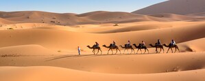 The wonders of Morocco at your fingertips: Transat unveils its offering of packages, tours and excursions