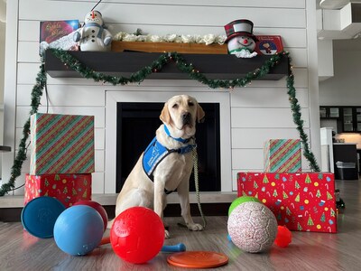 #WeGiveAJolly charity campaign beneficiary Canine Companions, one of 19 organizations, to receive a Jolly Pets toy for every purchase made during the holiday season.