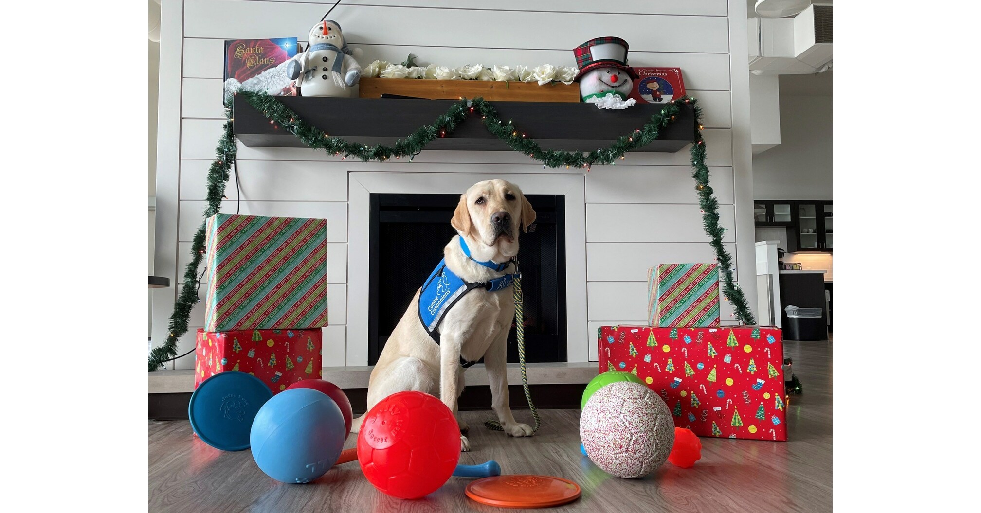 Jolly Pets Announces Annual Charitable Campaign #WeGiveaJolly to Benefit Shelter Dogs Across the Country Beginning Giving Tuesday Jolly Pets Announces Annual Charitable Campaign #WeGiveaJolly to Benefit Shelter Dogs Across the Country Beginning Giving Tuesday