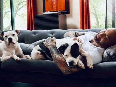 In honor of #GivingTuesday, Dave Bautista, actor, animal advocate, and dog dad, is collaborating with the ASPCA to raise awareness and encourage support for vulnerable animals throughout the holiday season. 

Dave is the proud dad of four adopted pit bulls?Ollie, Maggie, Penny, and Talulah?and is a consistent champion for the breed, adopting his first two dogs five years ago.