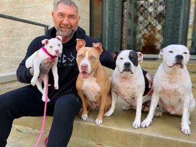 In honor of #GivingTuesday, Dave Bautista, actor, animal advocate, and dog dad, is collaborating with the ASPCA to raise awareness and encourage support for vulnerable animals throughout the holiday season. 

Dave is the proud dad of four adopted pit bulls?Ollie, Maggie, Penny and Talulah?and is a consistent champion for the breed, adopting his first two dogs five years ago.