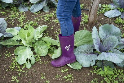 A recipient of Heifer Ecuador's purple boot distribution effort dons the work boots in her vegetable field on San Cristobal Island, Galapagos. Photo by Isadora Romero/Heifer International.