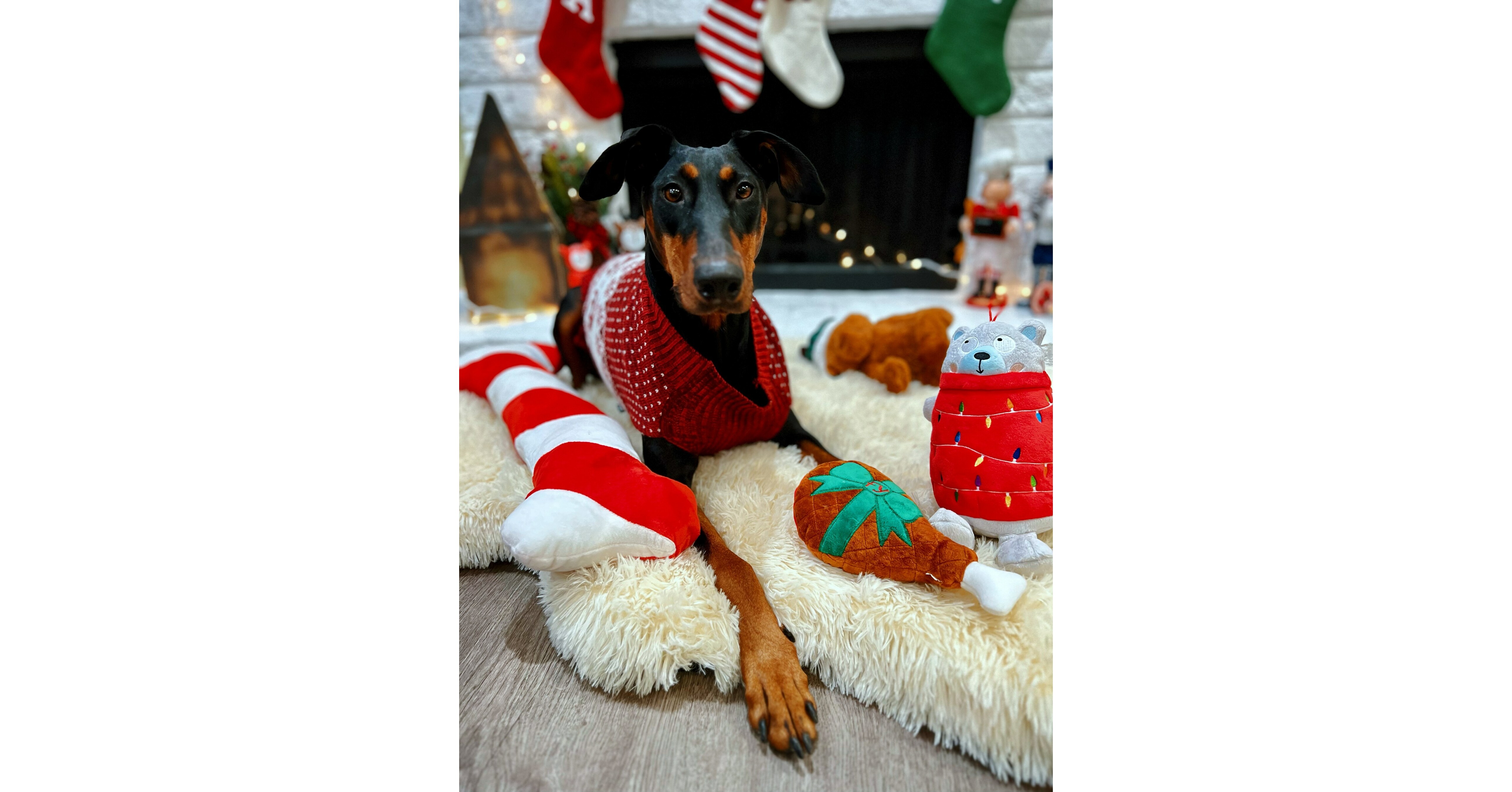 7 Ways to Keep Your Dog Entertained When You're Away {Stocking Stuffer  Giveaway – Day #7}