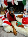 PET FOOD EXPRESS MAKES GIFT GIVING AFFORDABLE, HOLIDAY COLLECTION FEATURES ITEMS UNDER $10 INCLUDING STOCKING STUFFERS, TASTY TREATS FOR ALL PETS