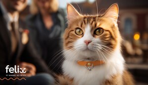 Felix Cat Insurance Will Cover Your Engagement Ring If You Include Your Cat In Your Proposal