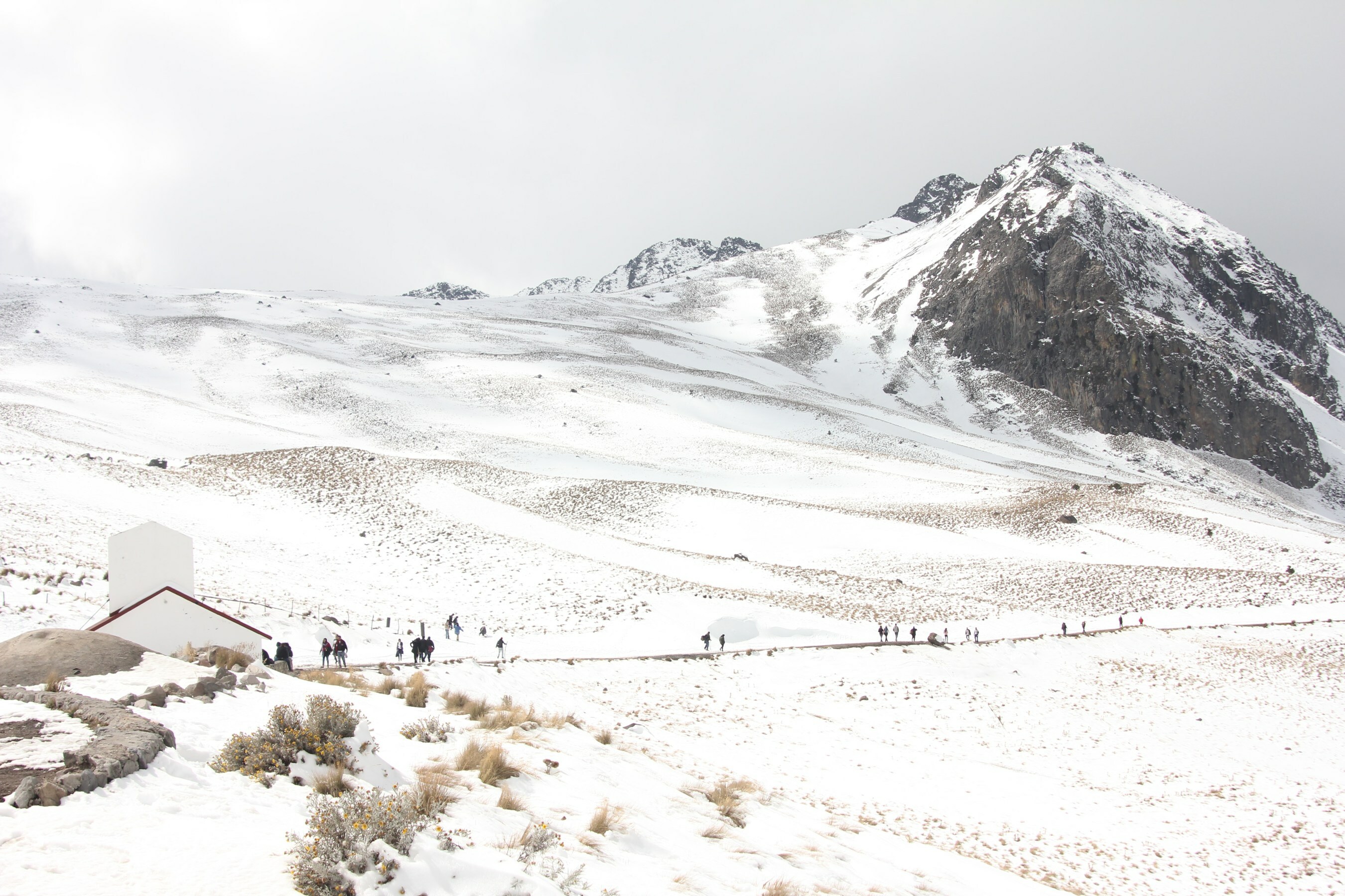 Unable to view the image, Please provide a valid URL.