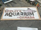 Ripley's Aquarium of Canada donates 9,000 cans of food to Daily Bread Food bank