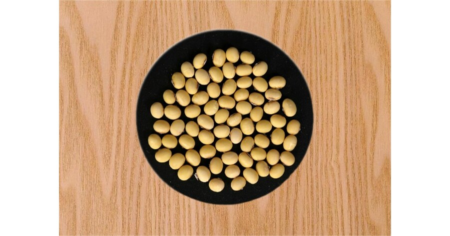 Comprehensive Analysis of the T2T Genome of the Soybean cv. Zhonghuang 13, Published in The Crop Journal Comprehensive Analysis of the T2T Genome of the Soybean cv. Zhonghuang 13, Published in The Crop Journal