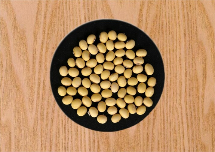 Comprehensive Analysis of the T2T Genome of the Soybean cv. Zhonghuang 13, Published in The Crop Journal - Vimarsana News