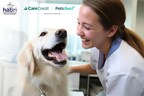 Synchrony and The Human Animal Bond Research Institute Form Strategic Alliance to Champion the Human-Animal Bond