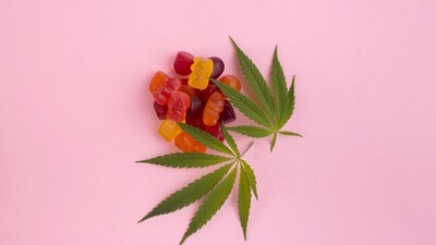 In a recent survey conducted by CAA South Central Ontario (CAA SCO), alarming trends indicate a significant rise in cannabis-impaired driving, particularly involving edibles. (CNW Group/CAA South Central Ontario)