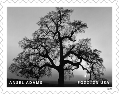 U.S. Postal Service Reveals Additional Stamps for 2024 - Ansel Adams Stamp - Image Credit: U.S. Postal Service