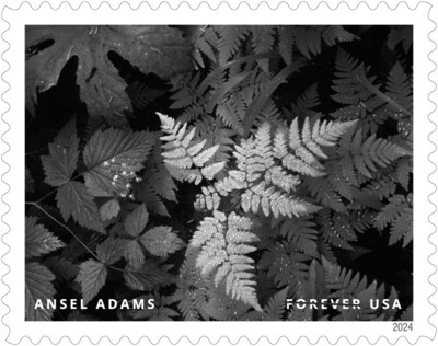 U.S. Postal Service Reveals Additional Stamps for 2024 - Ansel Adams Stamp - Image Credit: U.S. Postal Service