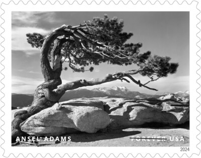 U.S. Postal Service Reveals Additional Stamps for 2024 - Ansel Adams Stamp - Image Credit: U.S. Postal Service