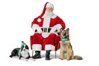 Santa Paws is Coming to Town with Free In-Store Pet Photos at PetSmart