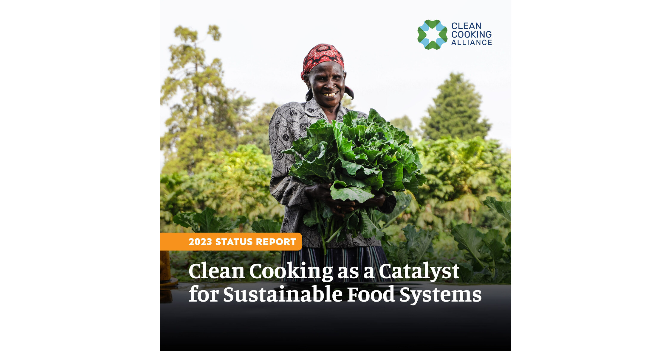NEW REPORT Clean Cooking as a Catalyst for Sustainable Food Systems