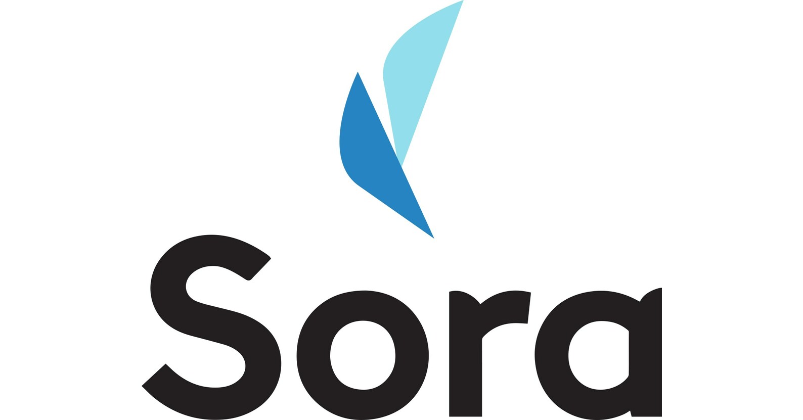 New Paper on Liability Management Shows Financial Advisors How to Optimize Client Wealth New Paper on Liability Management Shows Financial Advisors How to Optimize Client Wealth