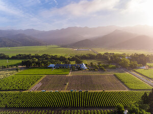 Larkmead Vineyards Earns California Certified Organic Farmers (CCOF) Status
