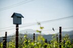 Larkmead Vineyards, Bird Box Integrated Pest Management