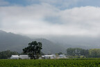 Larkmead Vineyards, Calistoga