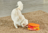 Learning Resources Enters the Pet Industry with Brightkins Pet