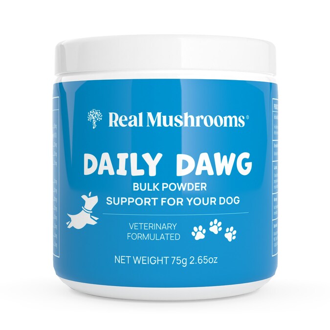 One-Of-A-Kind Mushroom-Based Supplement So Comprehensive It Can Replace All Other Daily Supplements for Dogs. And Yes, It's Completely Safe! - Vimarsana News