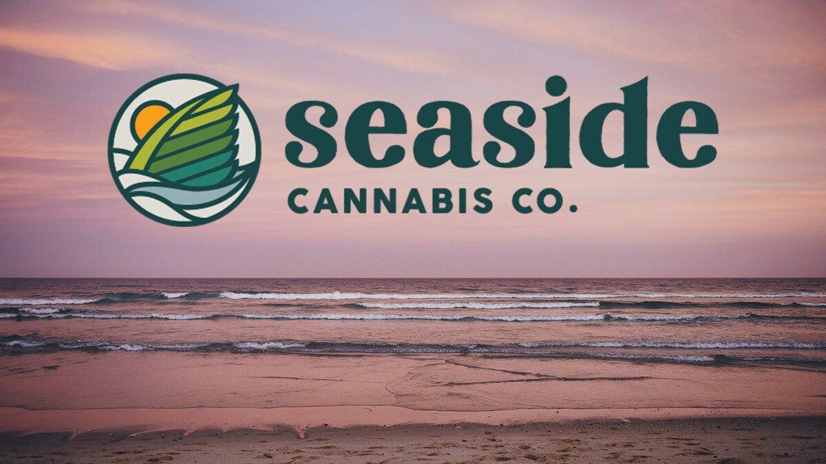 Seaside Cannabis Company: Cape Cod's 1st Destination Dispensary "Experience" Opens in Orleans - Vimarsana News