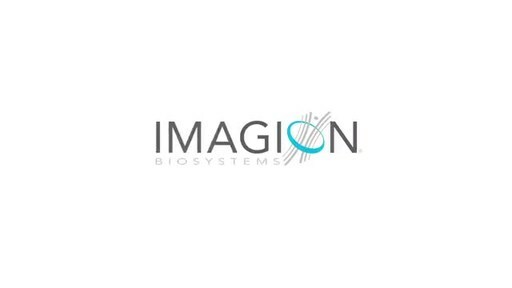 Imagion Announces Positive Results from IBI10103 Phase I Study Demonstrating Safety and Clinical Feasibility of Molecular MRI with MagSense® HER2 Imaging Agent