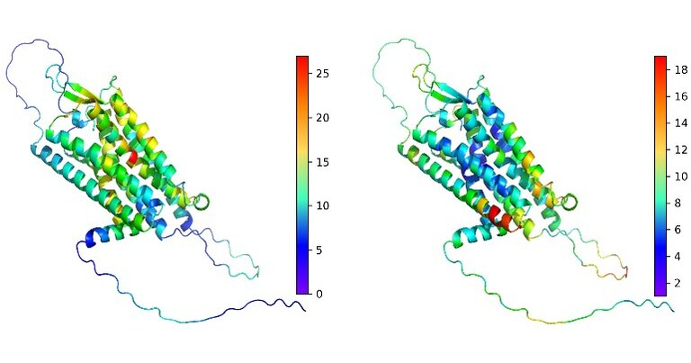 Unlocking the Human Genome: Innovative Machine Learning Tool Predicts ...