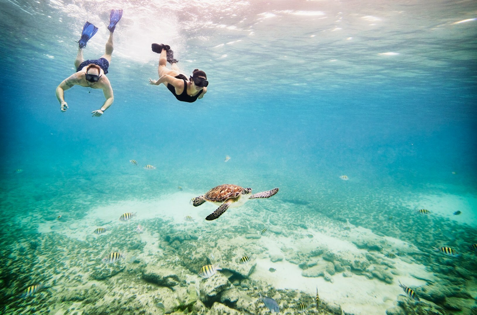 Unable to view the image, Please provide a valid URL.