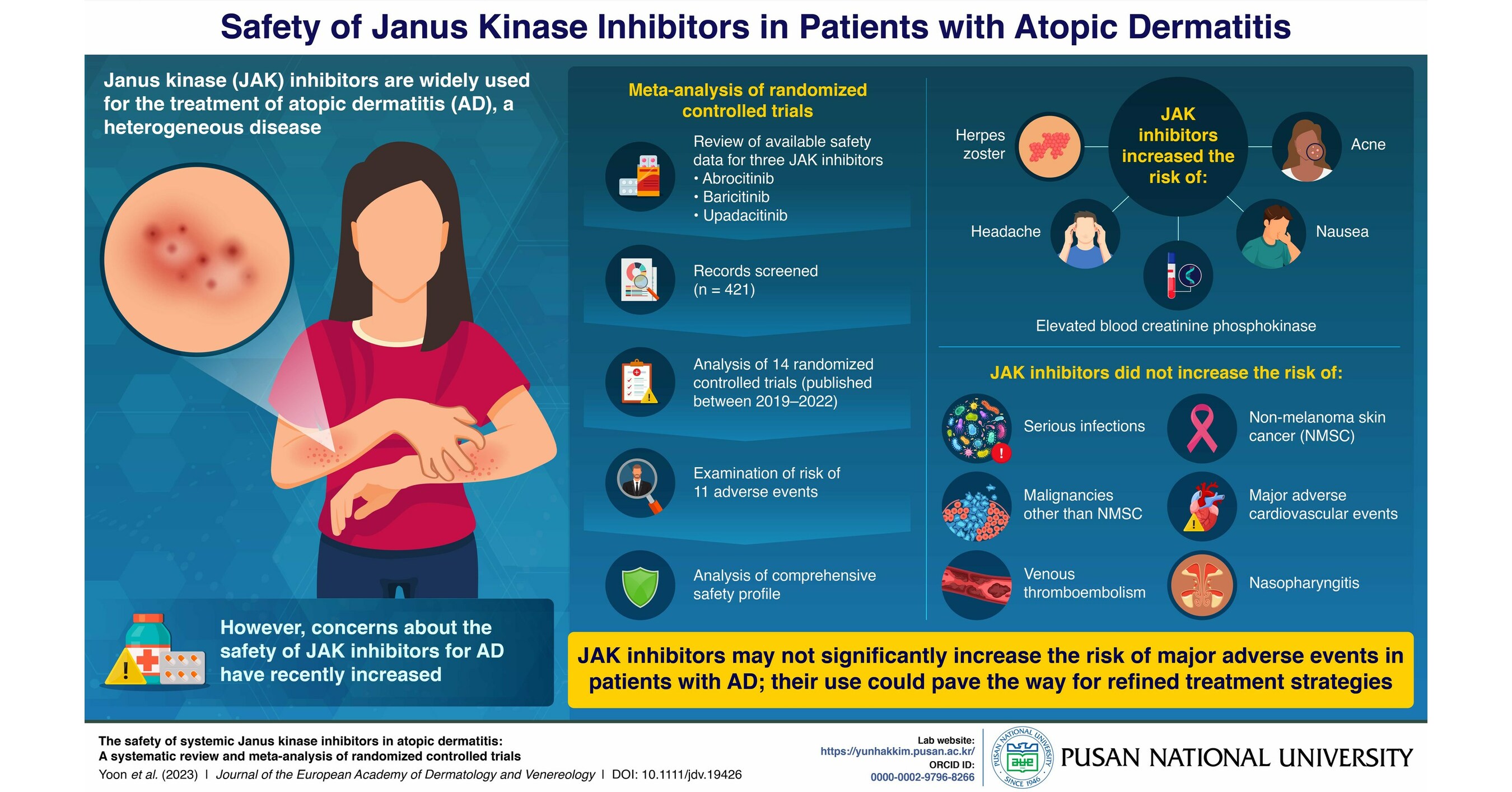 Pusan National University Researchers Dive Deep Into the Safety of JAK
