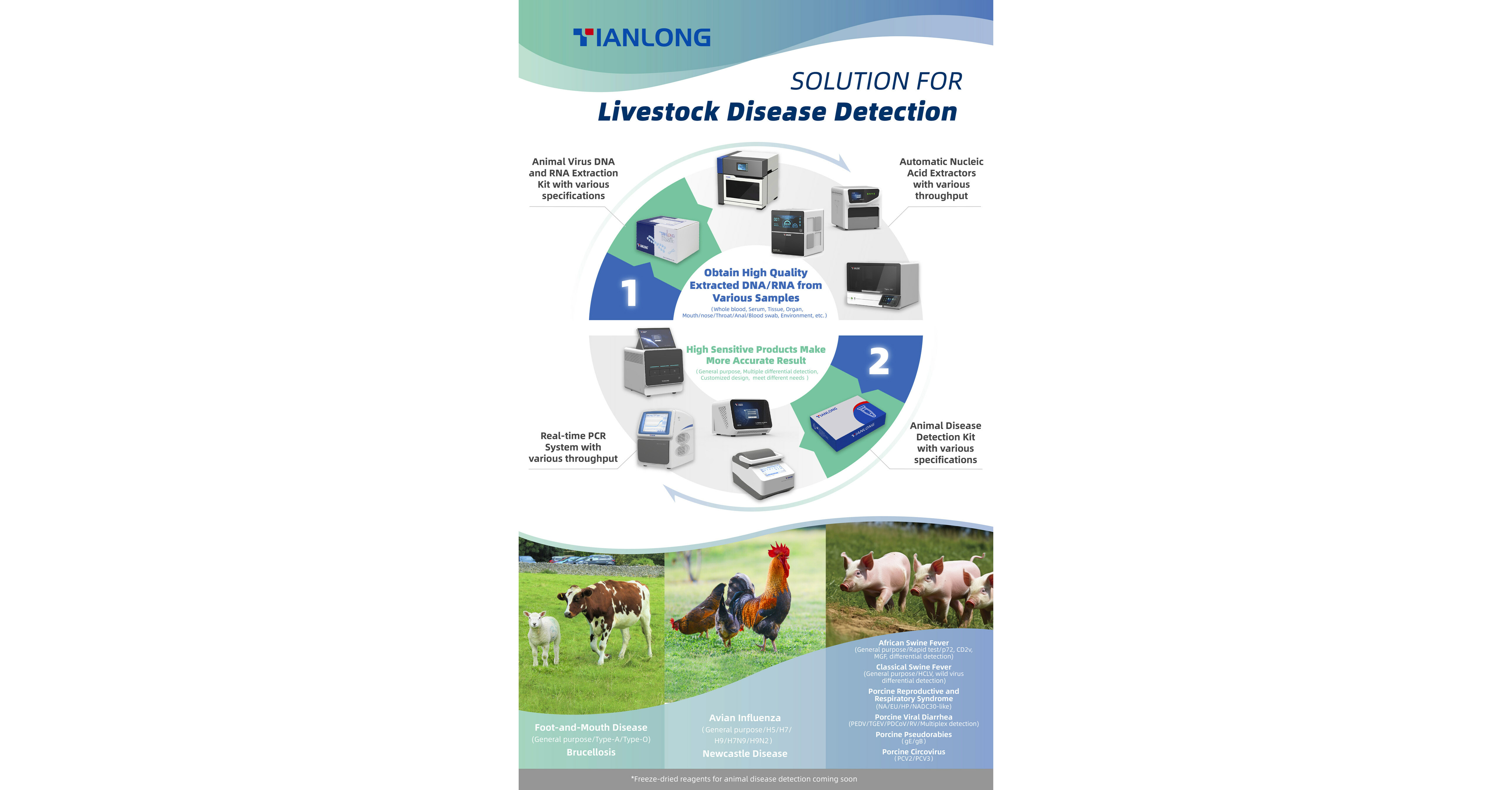 Tianlong Solution Facilitates the Prevention and Control of Livestock Diseases
