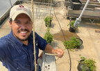 Hopping to it: Auburn University scientist spearheads leading research to help hops grow in Alabama