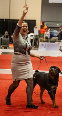 AKC/Royal Canin National All-Breed Puppy and Junior Stakes Best in Stakes winner "Granger" the Rottweiler