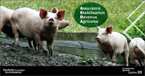 Programme d'assurance stabilisation des revenus agricoles - Les producteurs de porcs recevront  60 M$ avant la période des Fêtes