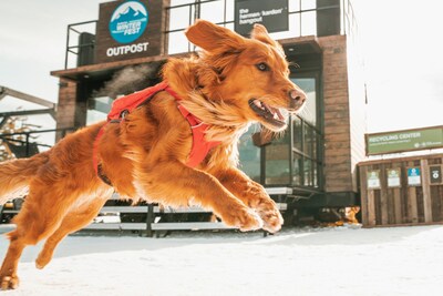 Subaru WinterFest 2024 will feature stops at six of the country’s top mountain resorts, where winter sports enthusiasts and Subaru owners can enjoy live music, food & beverage, gear demonstrations, select deserving charities to receive donations, and more. For information, visit www.subaruwinterfest.com and follow #SubaruWinterFest