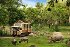 Rencanakan Liburan Akhir Tahun Anda bersama Taman Safari Bali