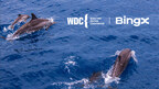 BingX Charity stringe una partnership con la Whale and Dolphin Conservation