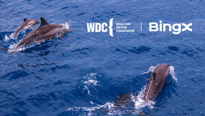 BingX Charity faz parceria com a Conservação de Baleias e Golfinhos