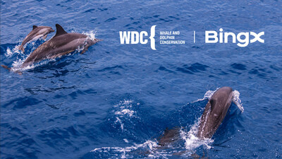 BingX Charity se asocia con WDC para la protección de ballenas y delfines (PRNewsfoto/BingX)