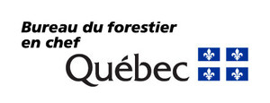 Possibilités forestières de la région de l'Outaouais - Le Forestier en chef recommande une modification des possibilités forestières suivant la création d'aires protégées