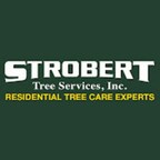 Strobert Tree Services Leads Christmas Tree Recycling Initiative in Wilmington, Delaware