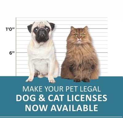Make Your Pet Legal- Purchase or Renew Your Pet License.