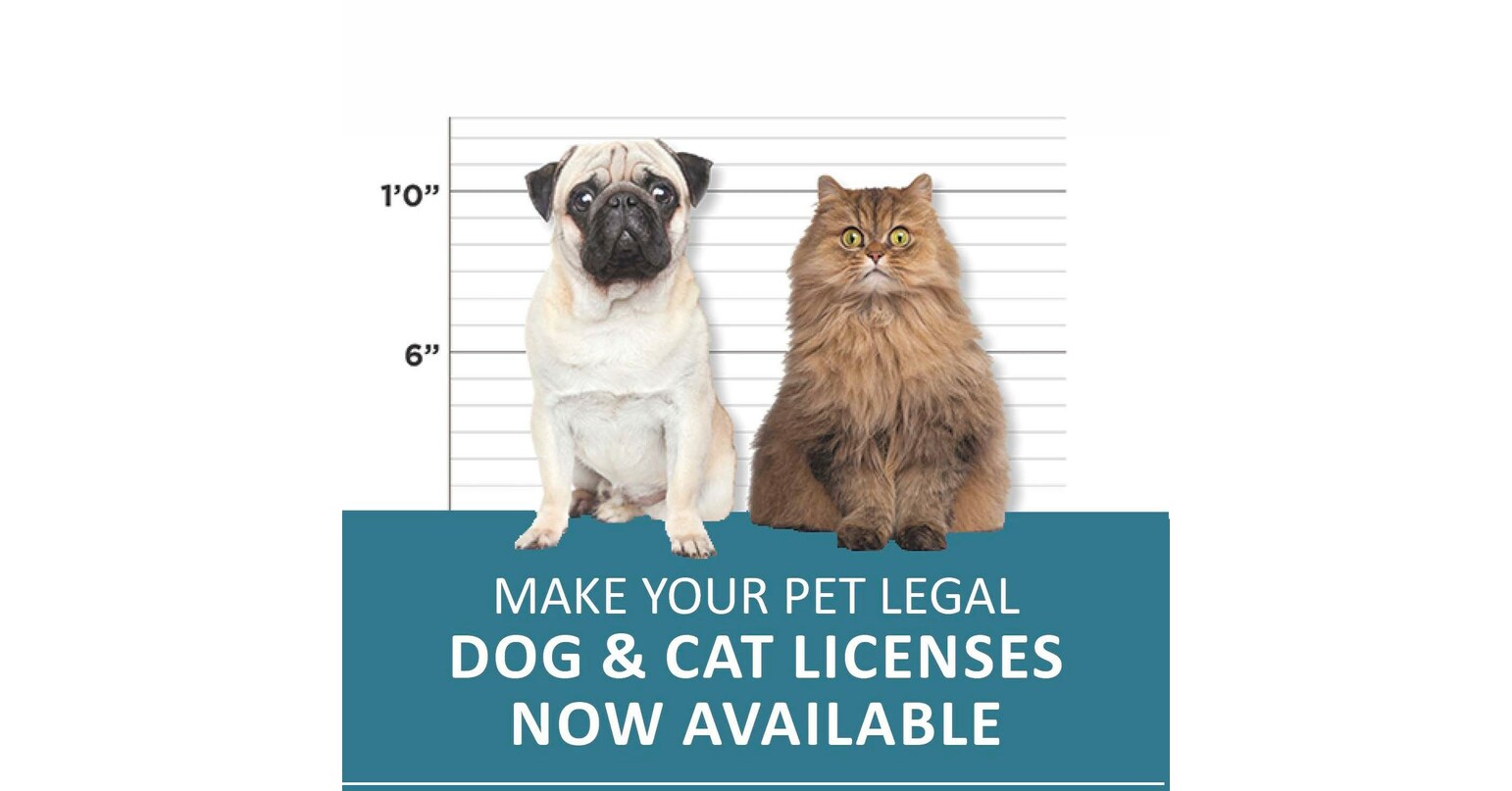 Time to Renew Palm Beach County 2024 Pet Licensing