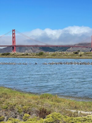 View of Golden Gate Bridge from San Francisco City Guides Climate Change Tour at Crissy Field