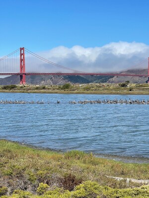 San Francisco City Guides Launches New, Free Climate Change Tour at San Francisco's Crissy Field